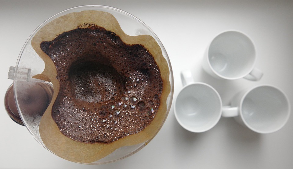Read more about the article Myth Busted: Should You Give Your Plants Coffee?